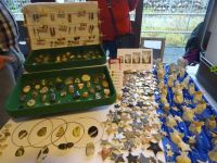 koffermarkt-buchsi-2017-036